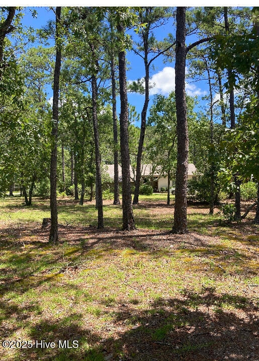 267 Watts Landing Rd, Hampstead, NC 28443 - photo 1