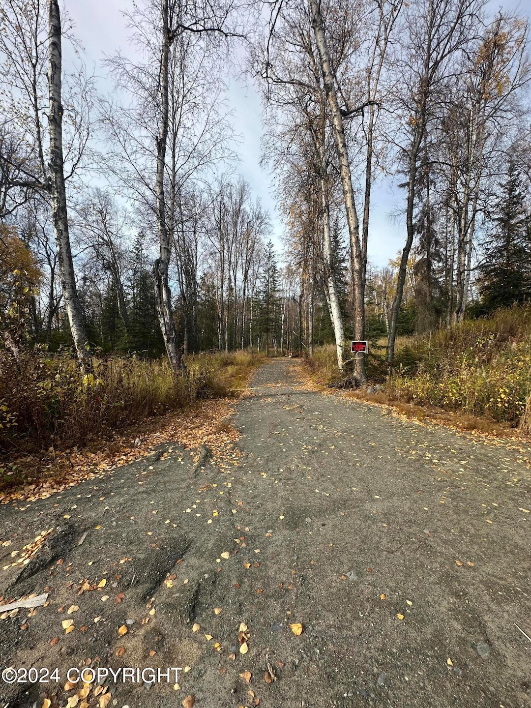 IMG_4346