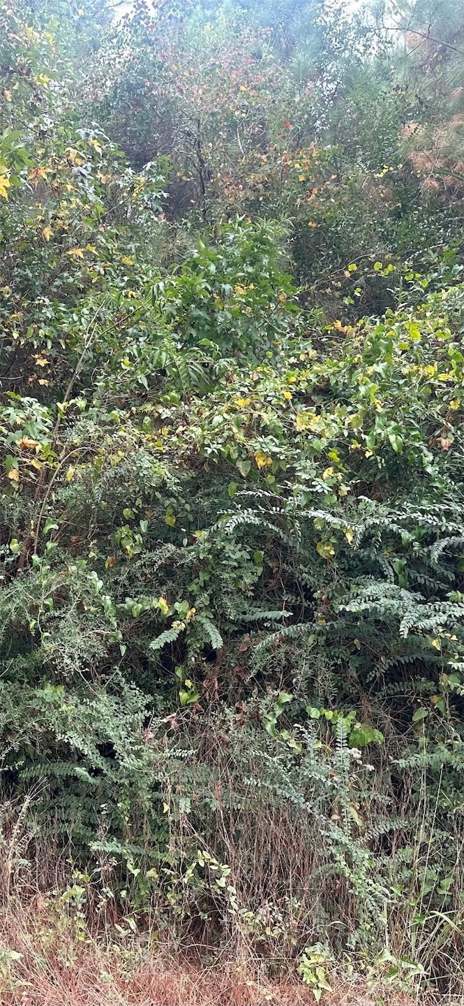 TBD Williams Dr, Livingston, TX 77351 - photo 1