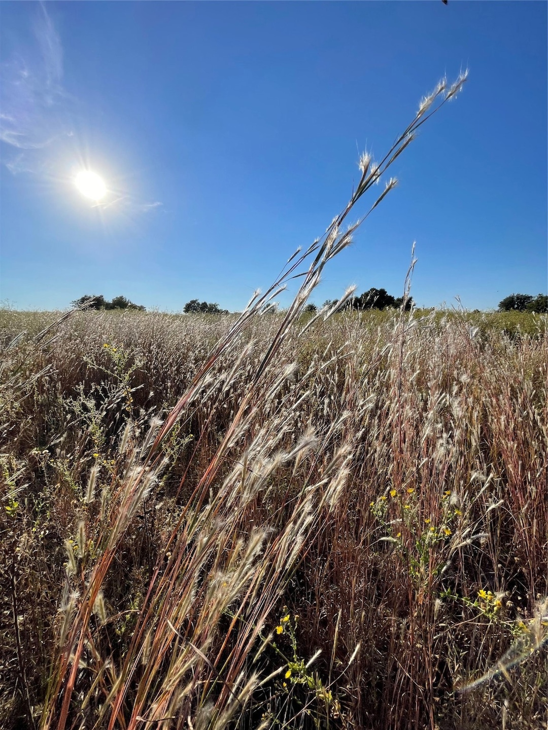 935 Vz County Road 3201, Wills Point, TX 75169 - photo 1