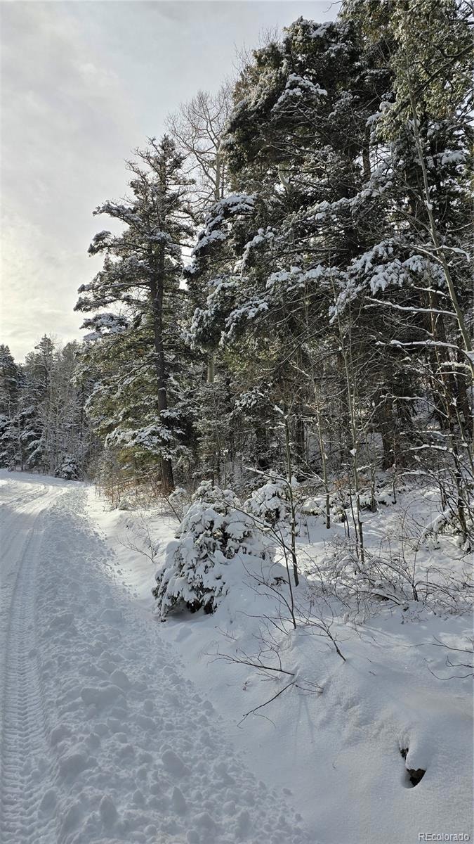 Lot 5540 Joy Rd, Fort Garland, CO 81133 - photo 1