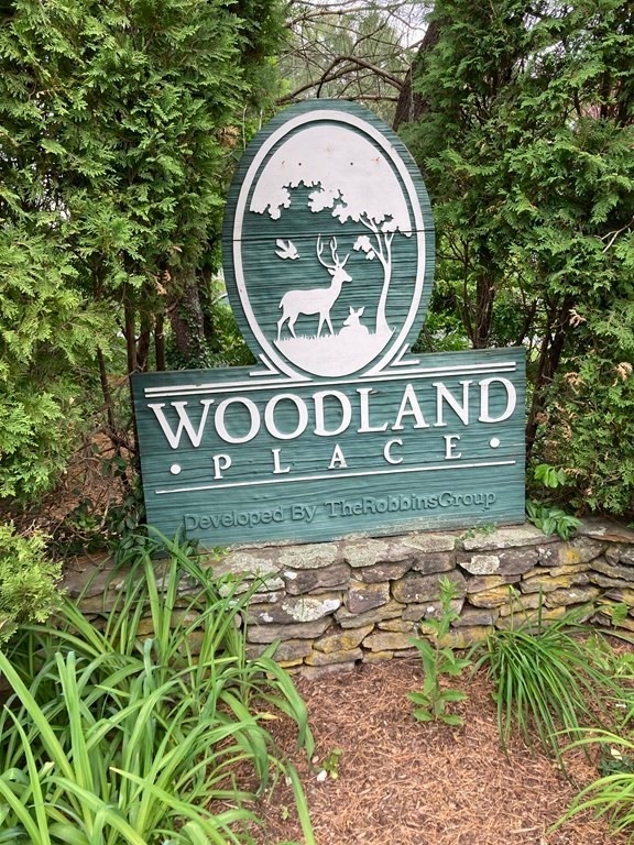 17 Walnut Ct, Rockland, MA 02370 - photo 1