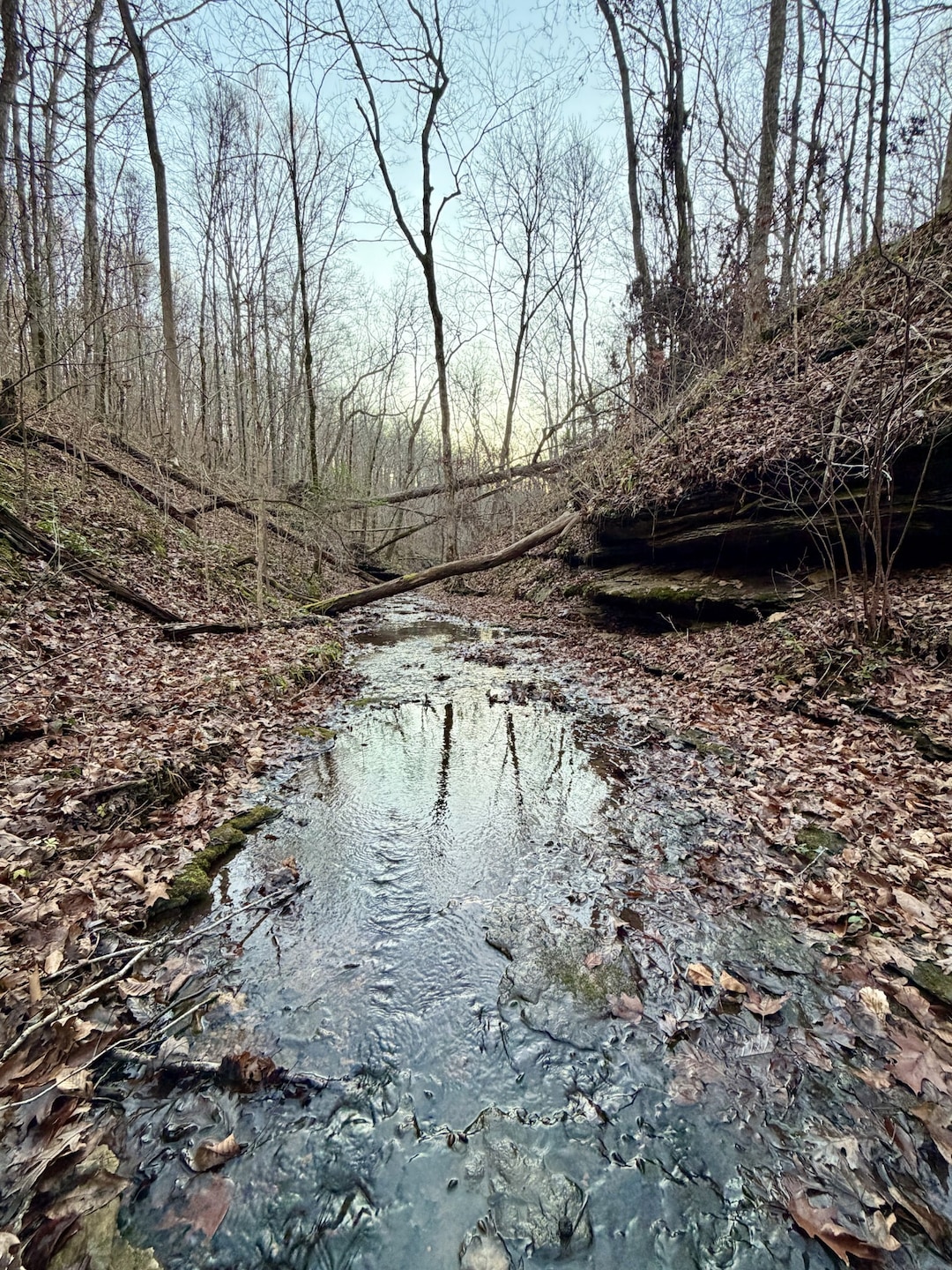 1 Amber Dr, Ashland City, TN 37015 - photo 1