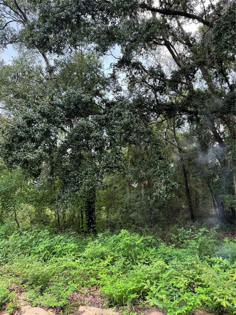 For Sale $10,000 • Co-Listing Agent