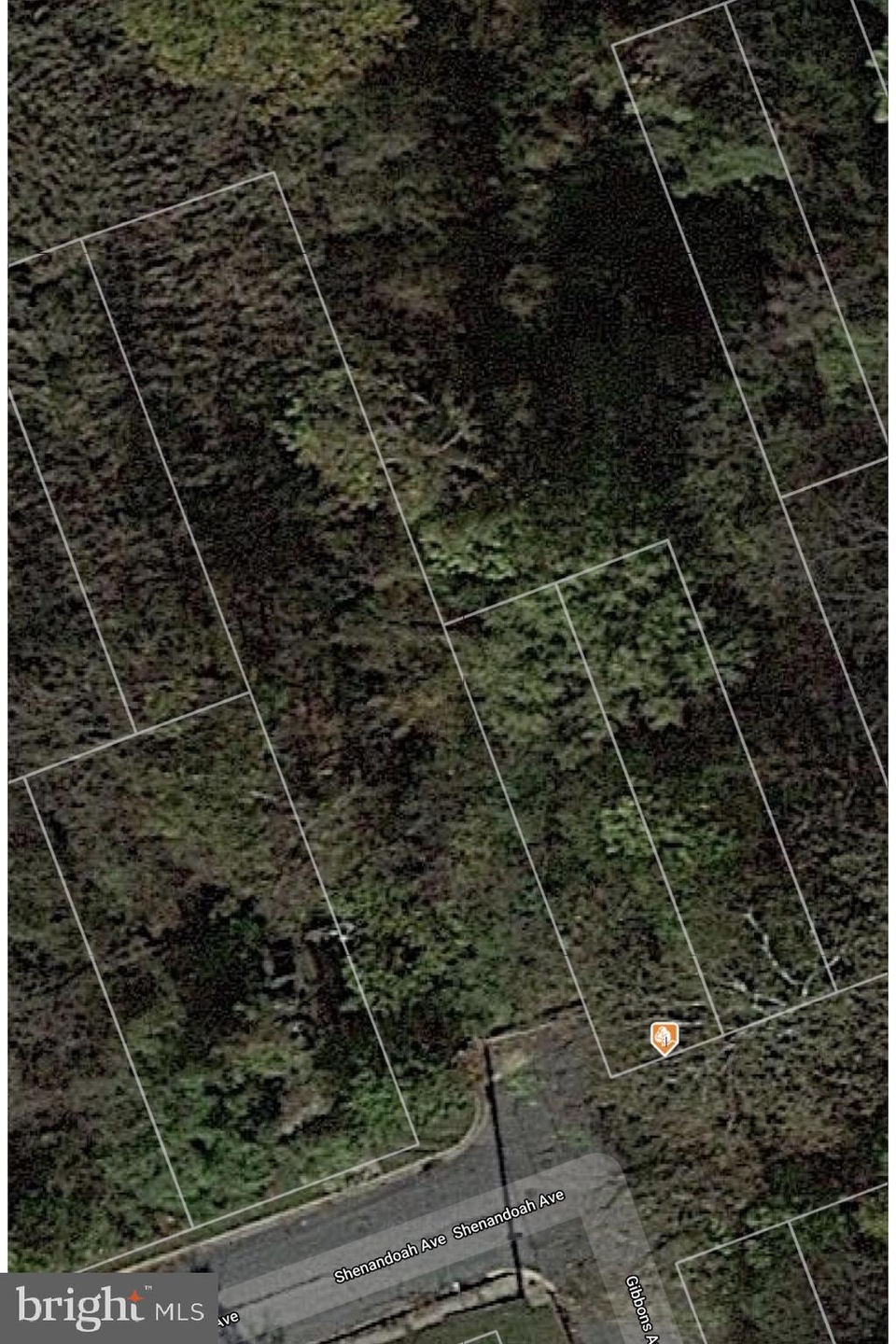 0 Shenandoah Ave unit MDAA447126, Baltimore, MD 21225 - photo 1