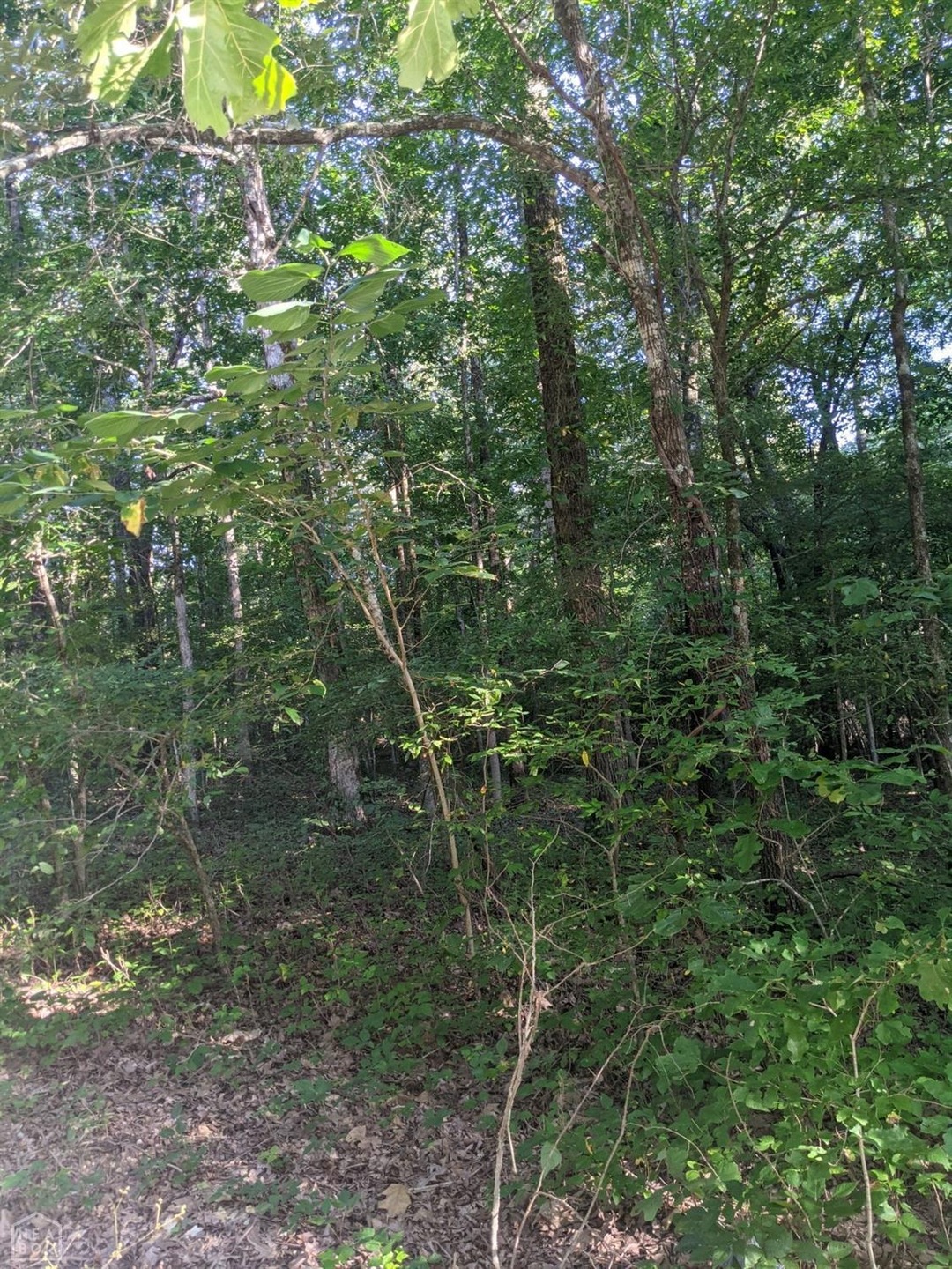 0 County Road 744, Jonesboro, AR 72401 - photo 1