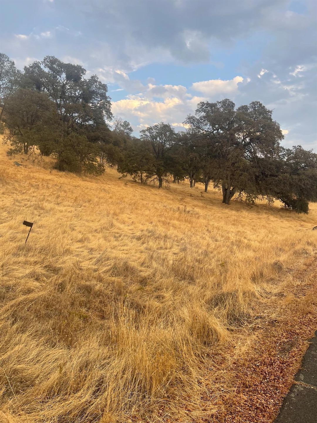 0 Castillo Way unit 225125624, La Grange, CA 95329 - photo 1