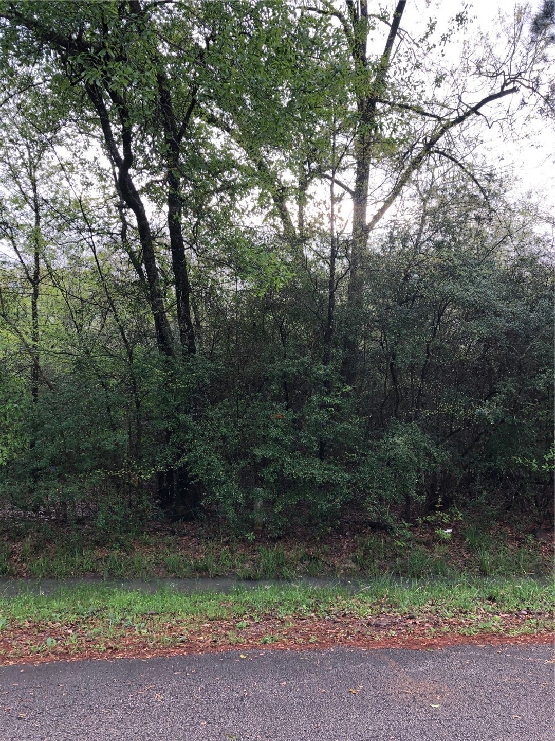 Lot 28 29 Cherokee Ln, Magnolia, TX 77354 - photo 1
