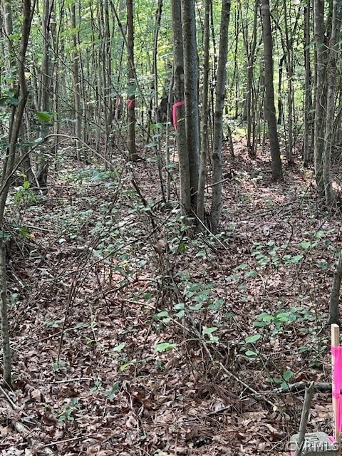 11.24 acres Near I85
