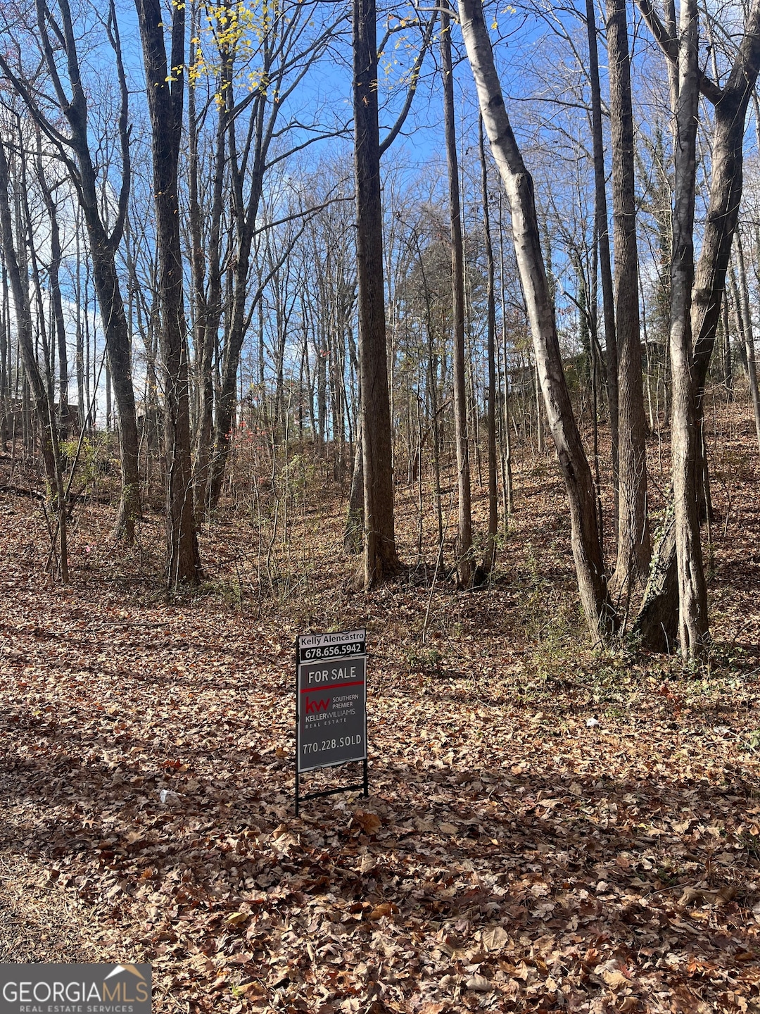 0 Tomahawk Terrace unit 10653462, Gainesville, GA 30506 - photo 1