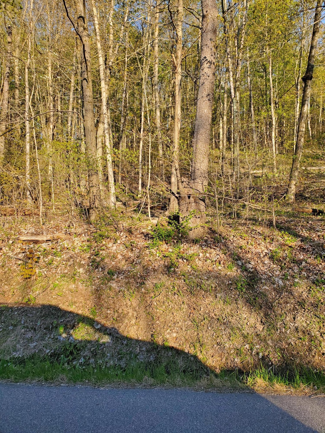 20200506_192045 (2)