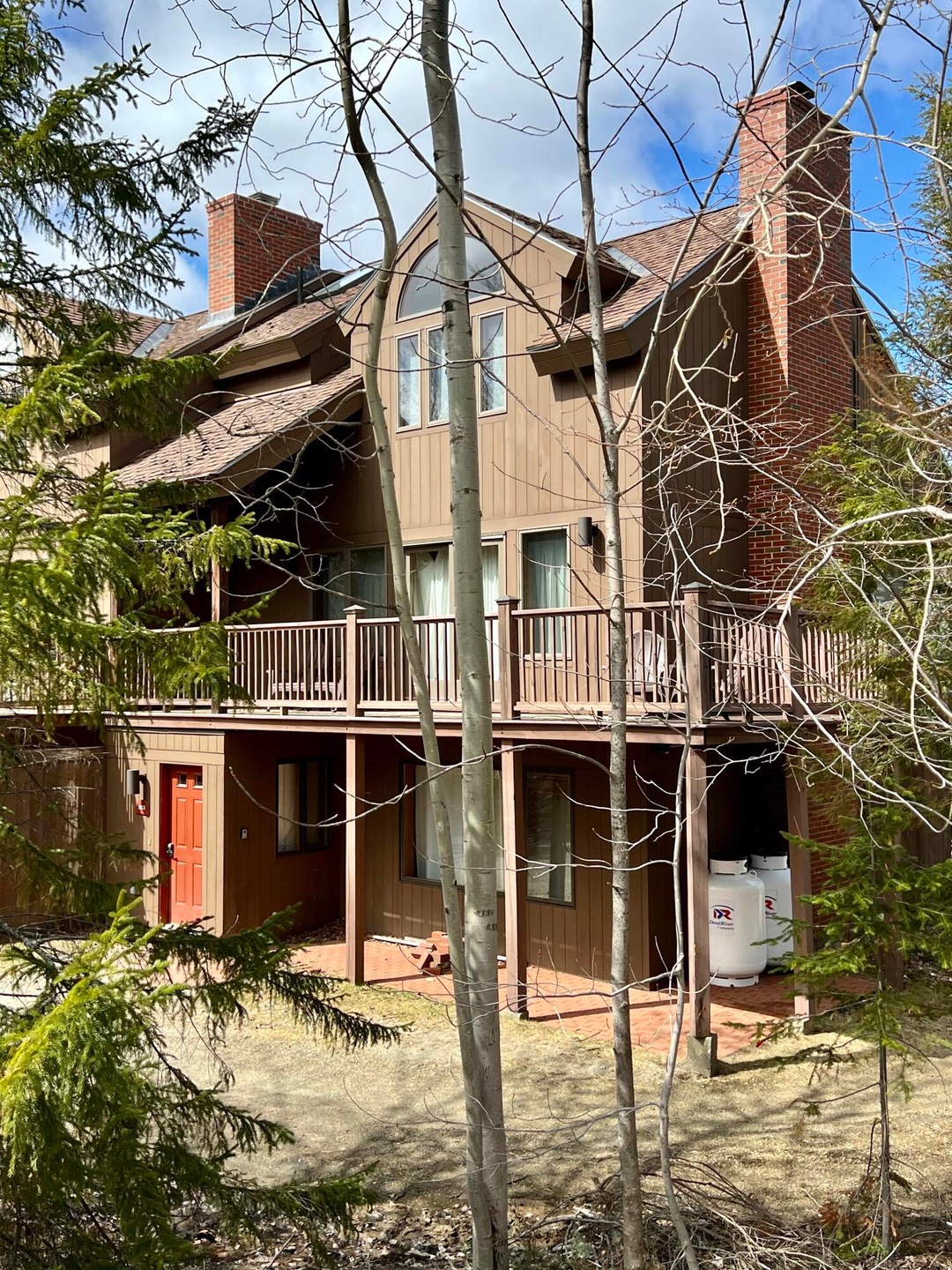 sc front trees