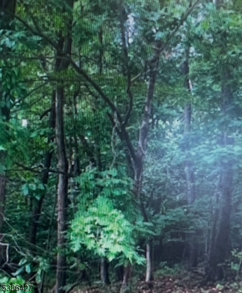 16 Lakeview Dr, Wantage, NJ 07461 - photo 1