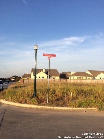 1207 Gruene Rd, New Braunfels, TX 78130 - photo 1