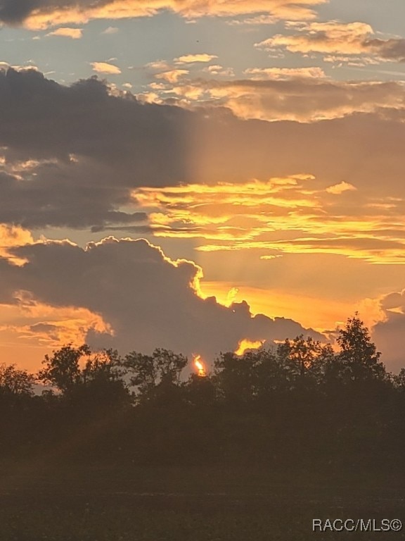 0 Octavia Ln unit 850173, Webster, FL 33597 - photo 1