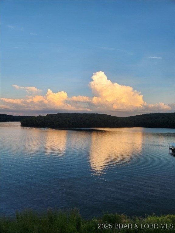 222 Park Place Ln unit 2C, Kaiser, MO 65047 - photo 1