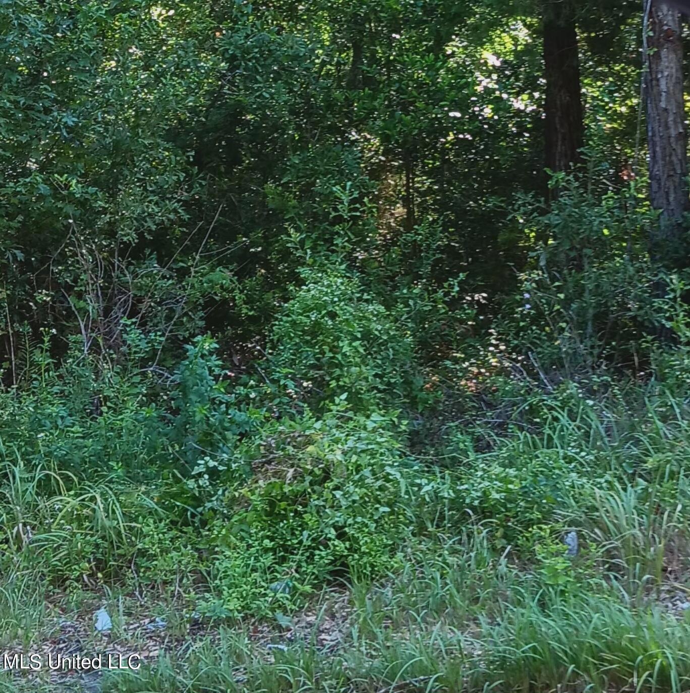 Griffin Street Lot