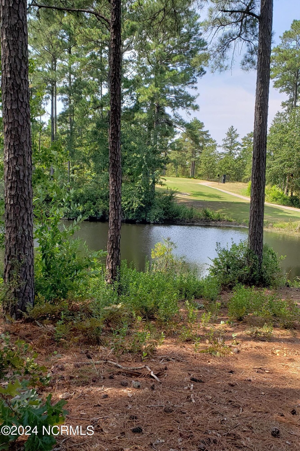 Water & Golf course frontage