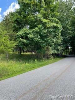 0 Black Meadow Rd unit H6133418, Chester, NY 10918 - photo 1