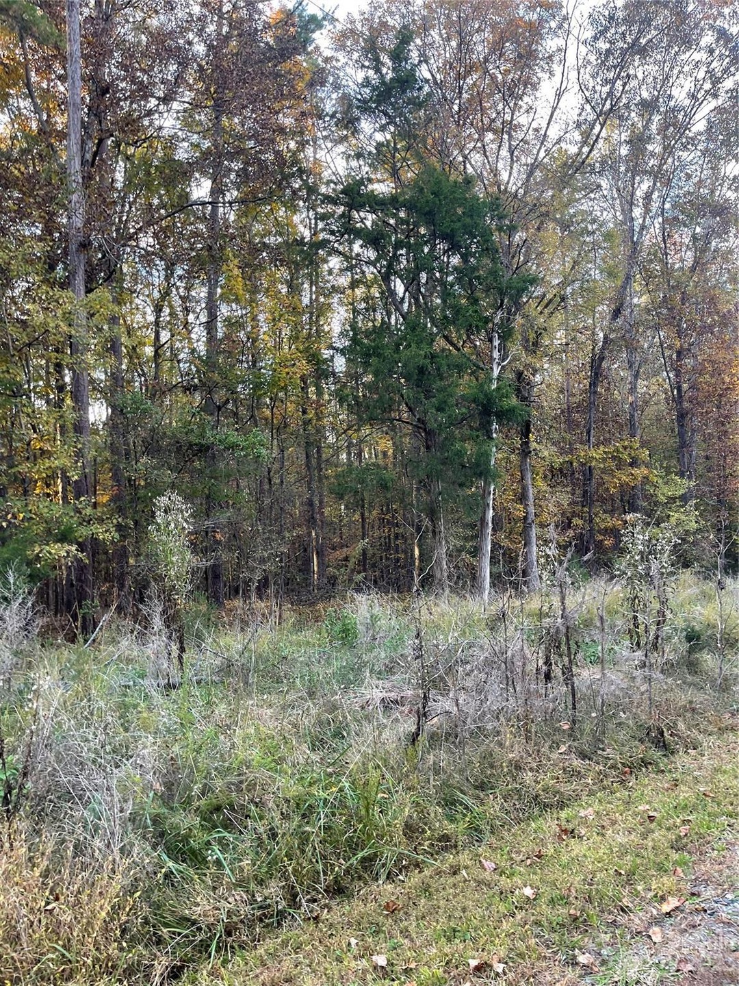 11600 Widenhouse Rd, Midland, NC 28107 - photo 1