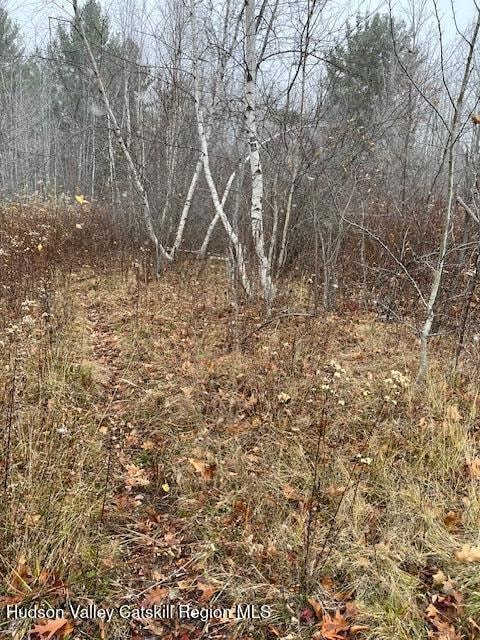 Tbd Goshen St, Jewett, NY 12444 - photo 1