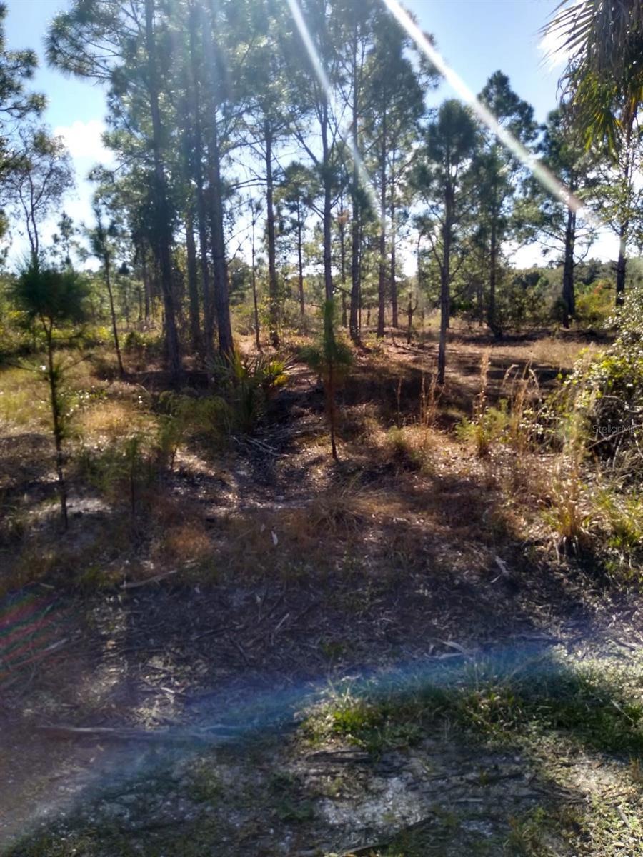 27093 Aloha Dr, Punta Gorda, FL 33955 - photo 1