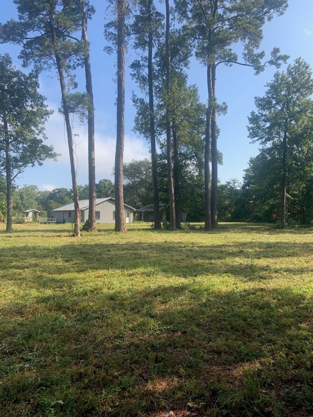 13329 Walker Rd, Conroe, TX 77302 - photo 1