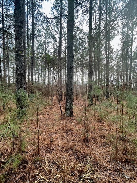 10075 Reed Mine Rd unit 1, Midland, NC 28107 - photo 1