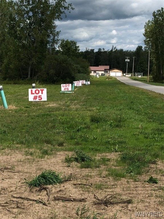 46 Fieldcrest Dr, Corfu, NY 14036 - photo 1