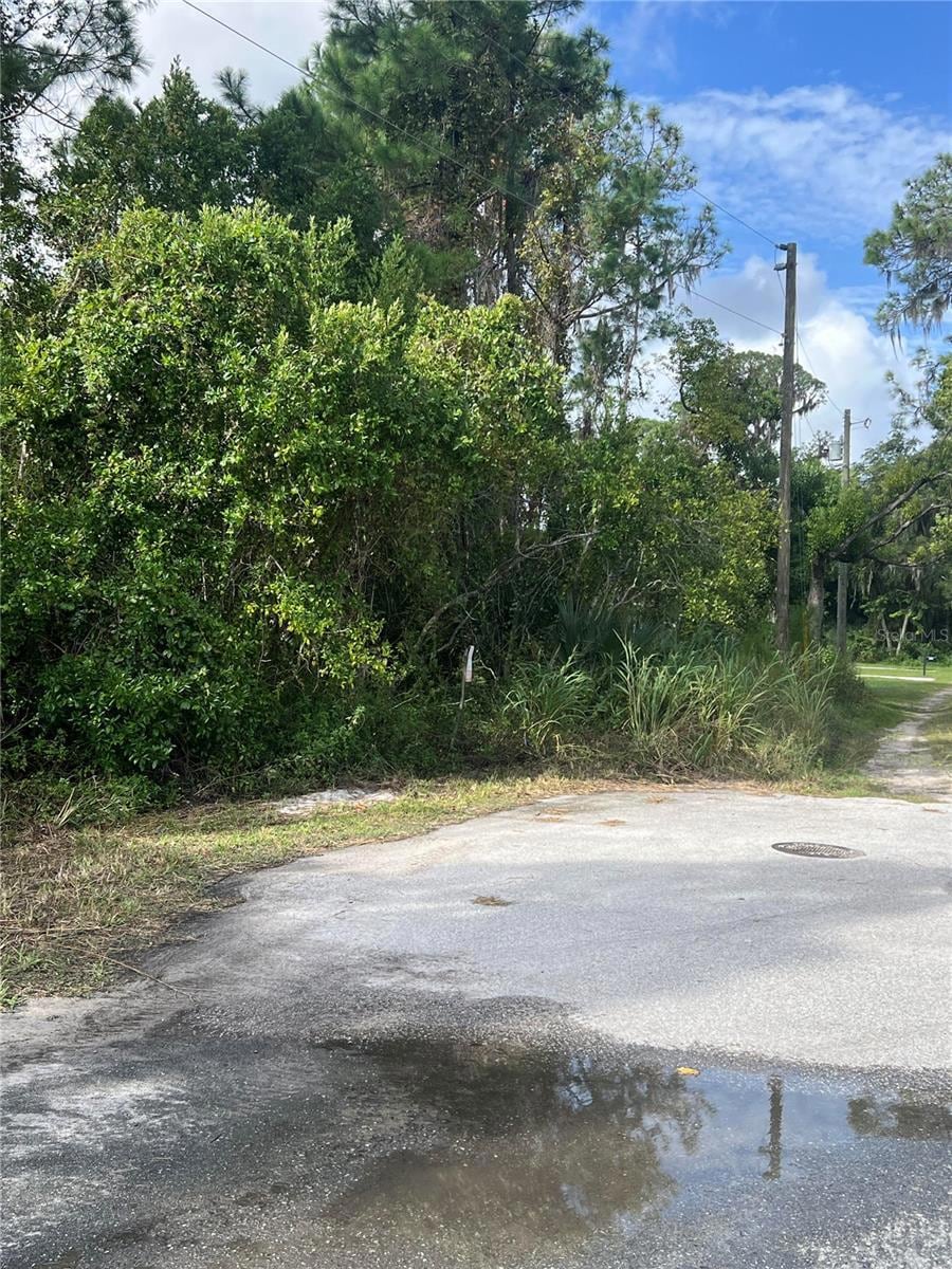 0 W Herrick Ave unit MFRG5104849, Eustis, FL 32726 - photo 1