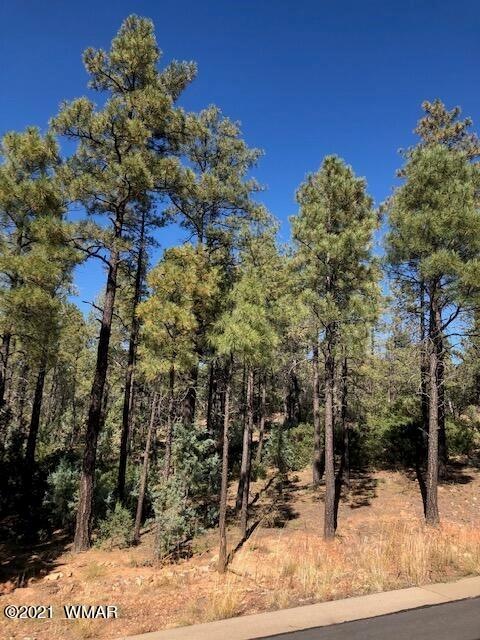 Snow Creek Lot 68