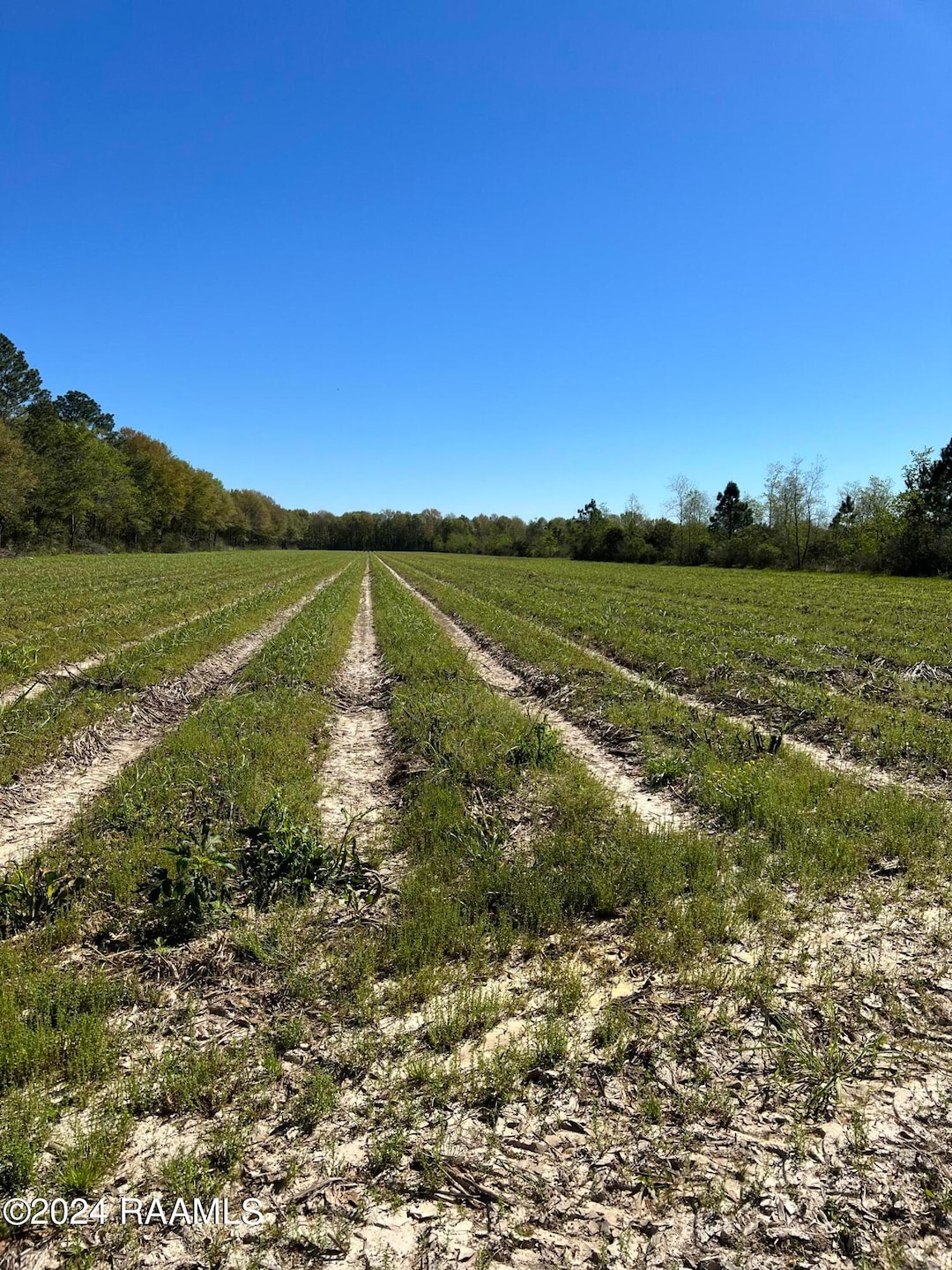 Tbd Mire Hwy, Rayne, LA 70578 - photo 1