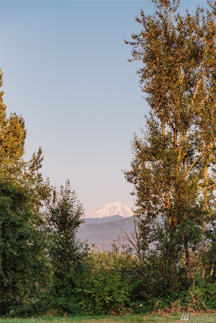 3758 Kneuman Rd, Sumas, WA 98295 - photo 1