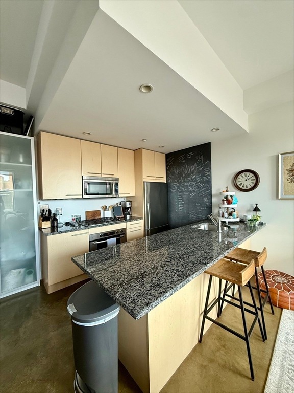 40 Fay St unit 505, Boston, MA 02118 - photo 1