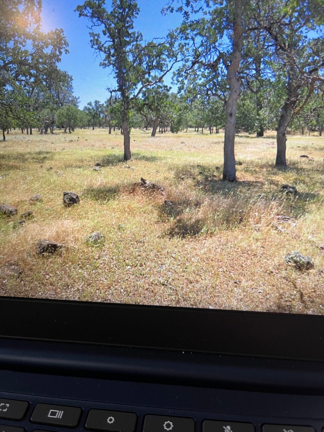 0 Campo Dios Rd unit 25-5155, Shingletown, CA 96088 - photo 1