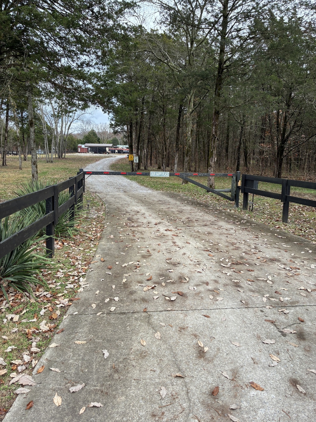 905 Chapel Hill Pike, Eagleville, TN 37060 - photo 1