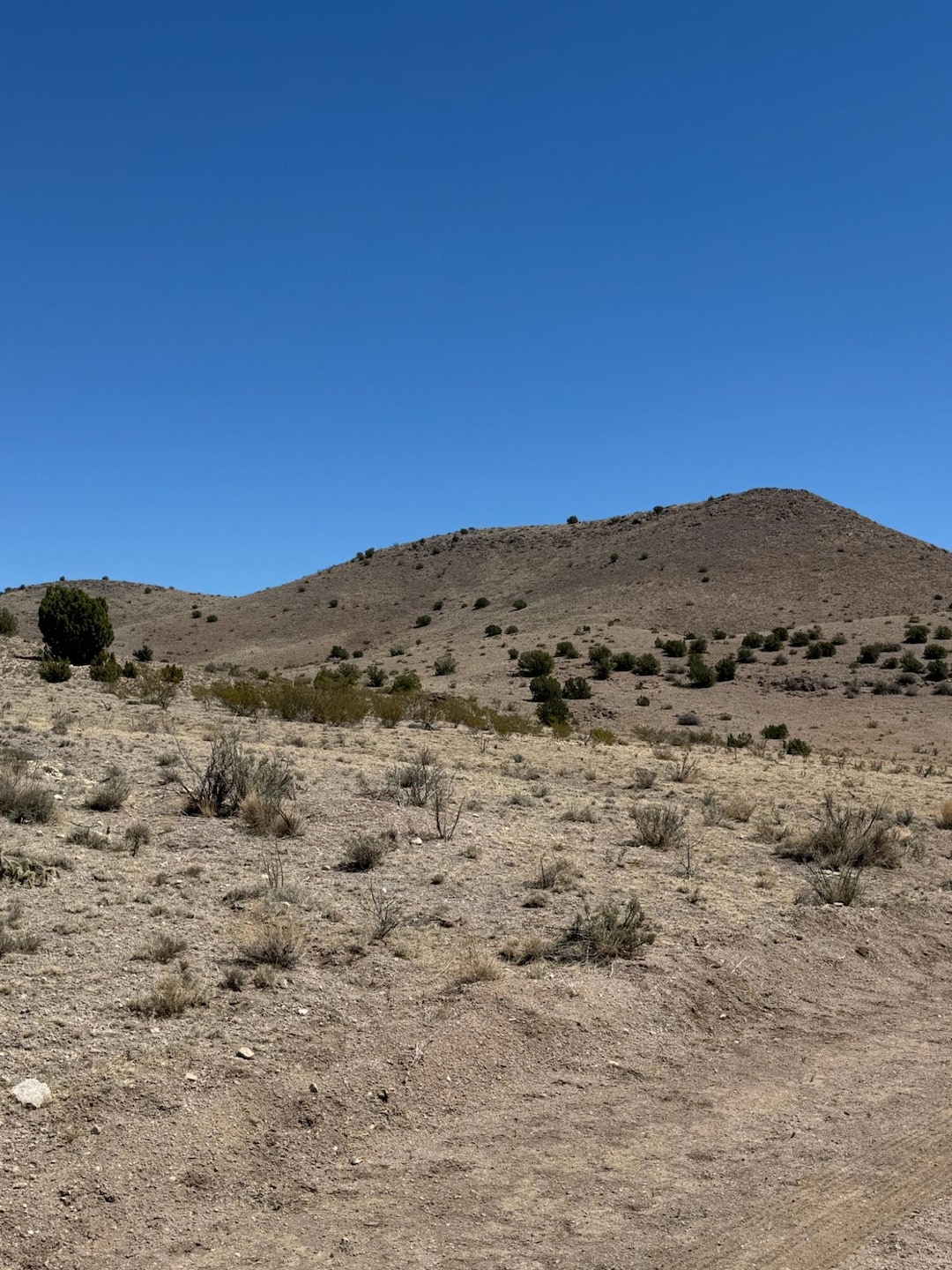 Lot 18 Willow Springs Ranch, San Antonio, NM 87832 - photo 1