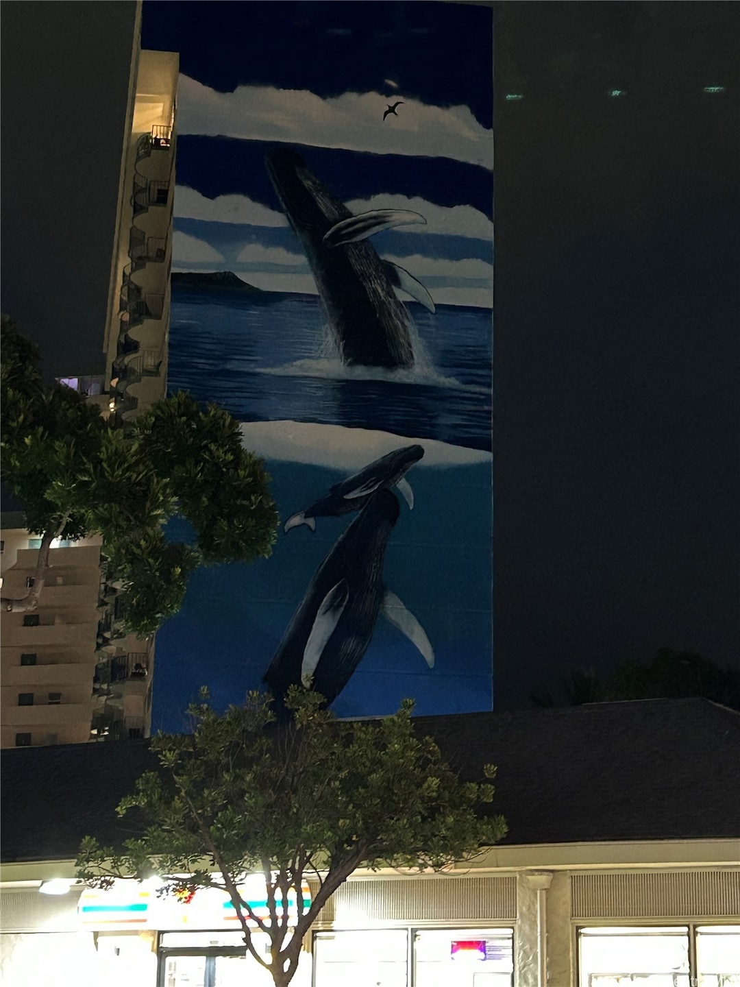 Royal Aloha Condominium unit 509, Honolulu, HI 96815 - photo 1