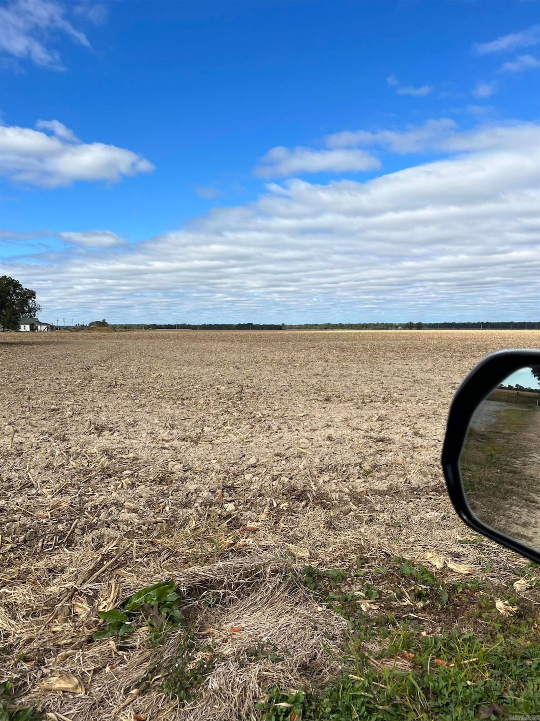 849 Cr 206, Peach Orchard, AR 72453 - photo 1