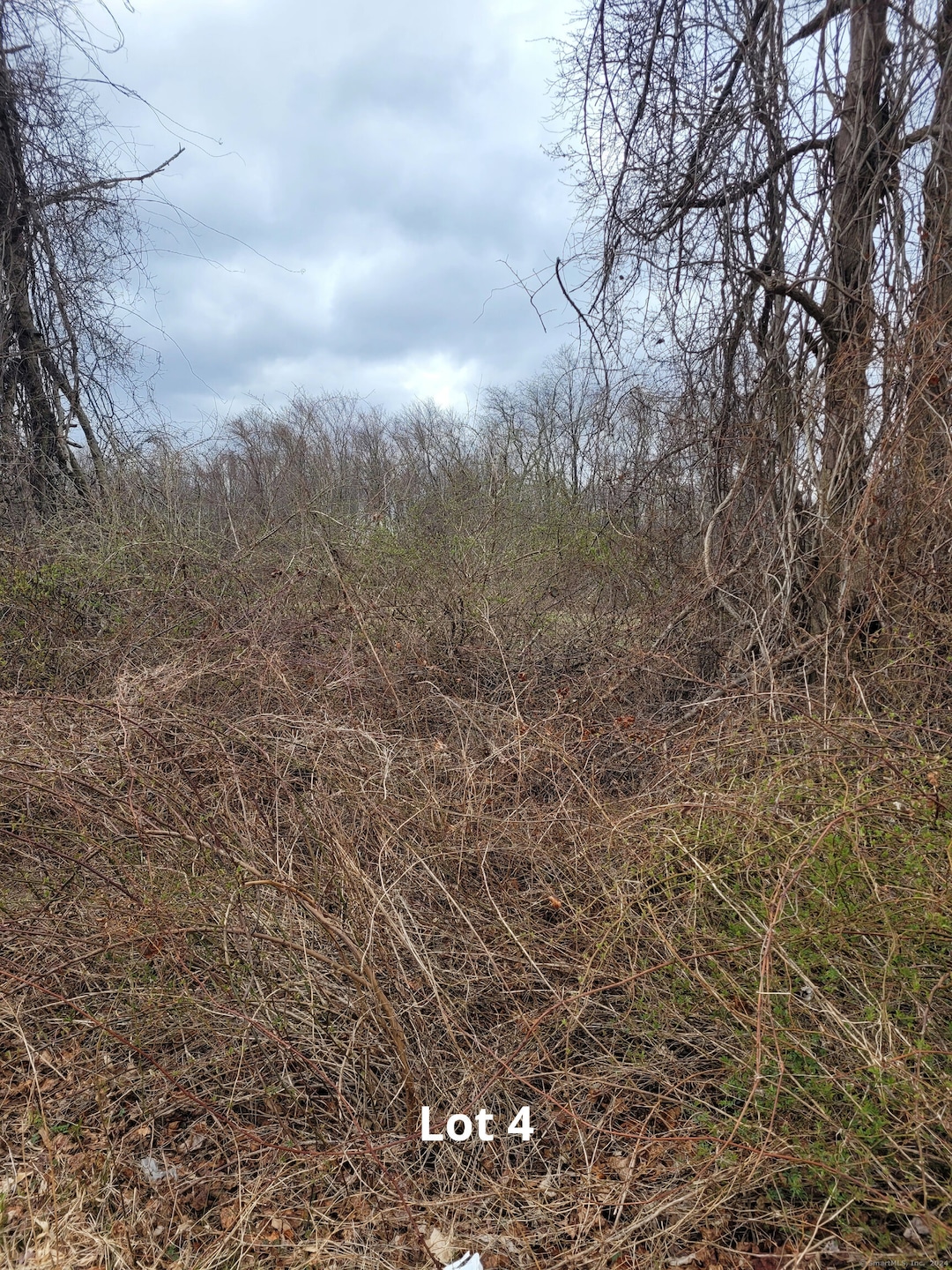 Sold $145,000 • Co-Listing Agent