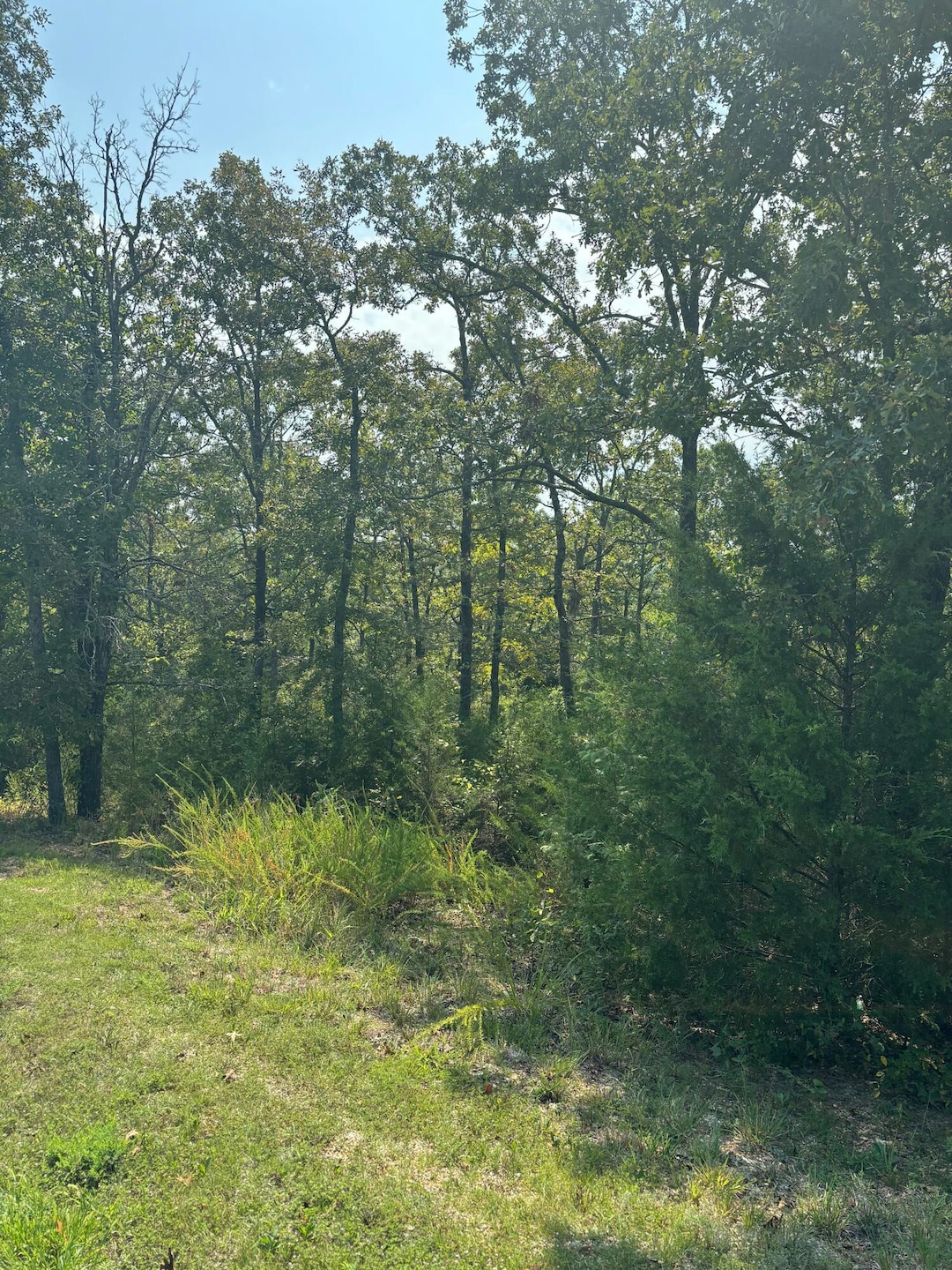 Lot #3 Fox Hollow Rd, Ruth C Township, MO 65737 - photo 1