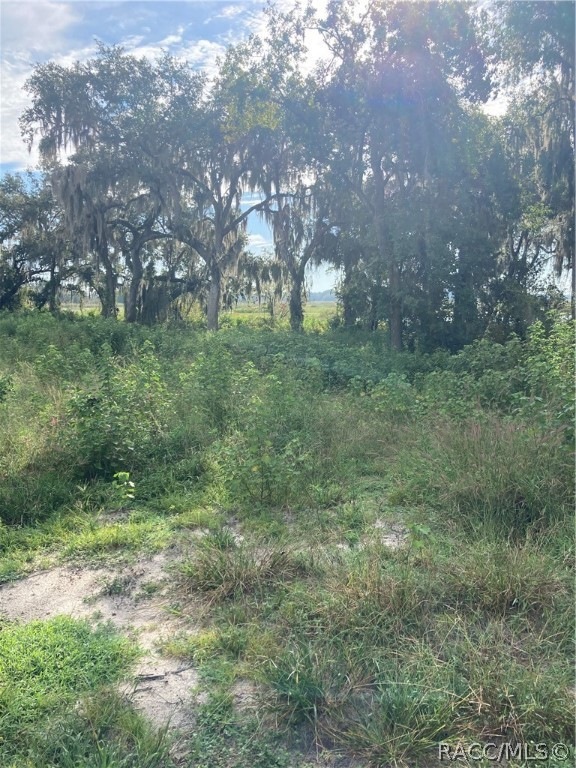 Beautiful open lake front lot