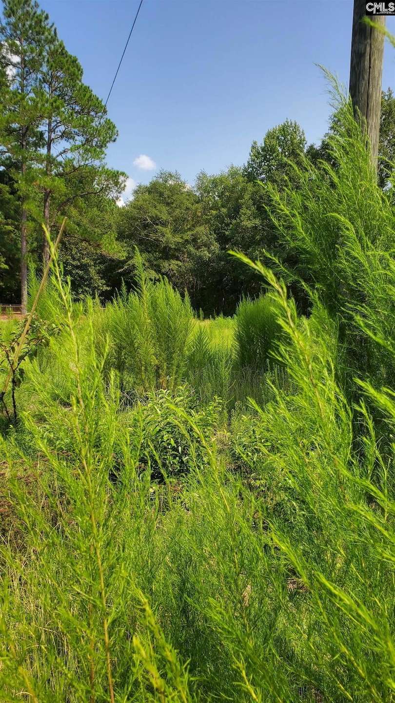 0 Ardis Rd, Pinewood, SC 29125 - photo 1