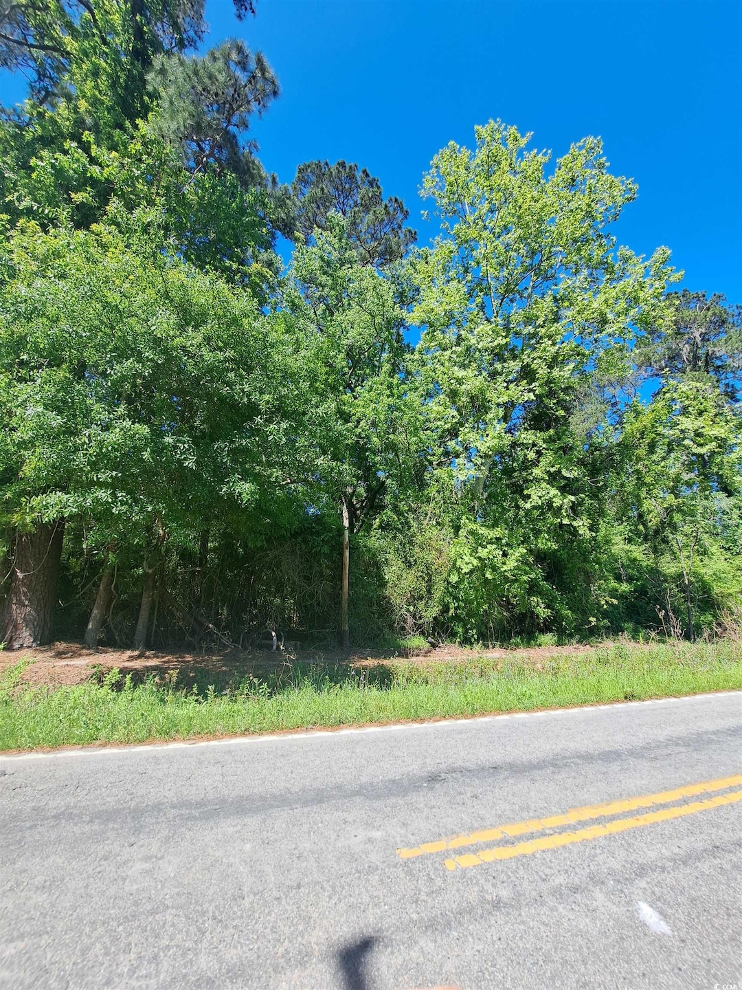 View of road