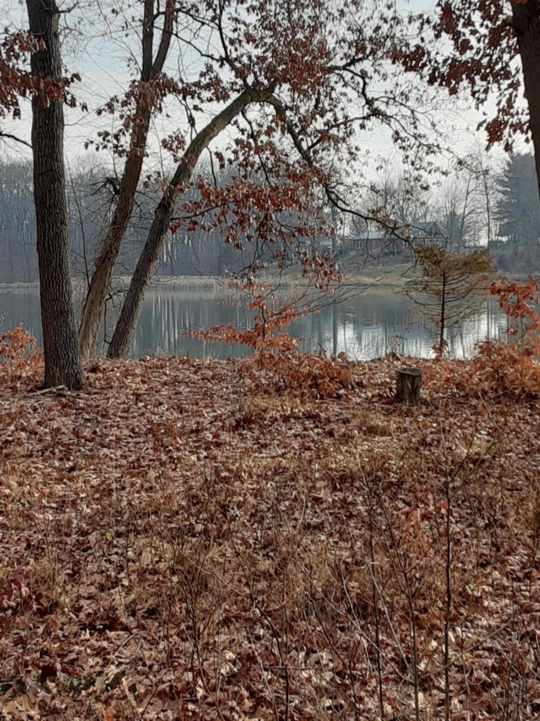 20201211_110249