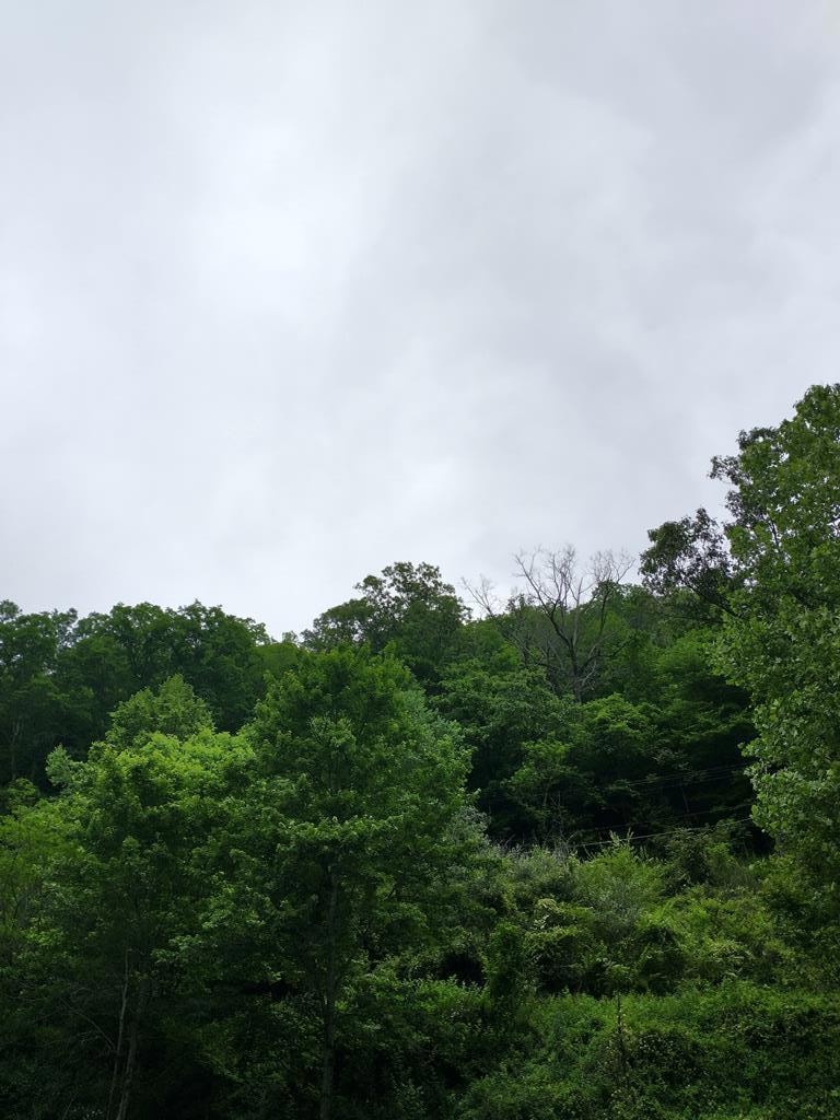 186 Old Davy Rd, Davy, WV 24828 - photo 1