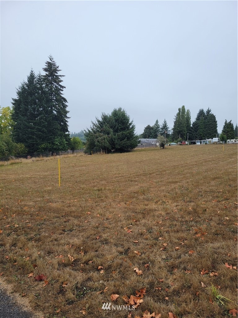 0 NE 2nd St unit 1843642, Winlock, WA 98596 - photo 1