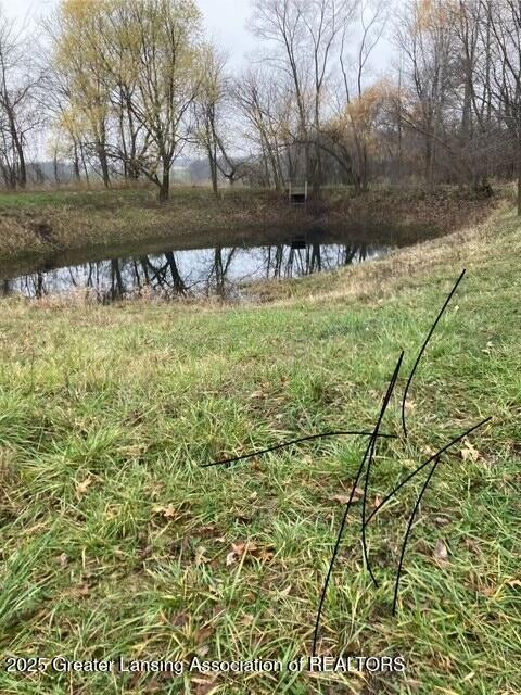 pond