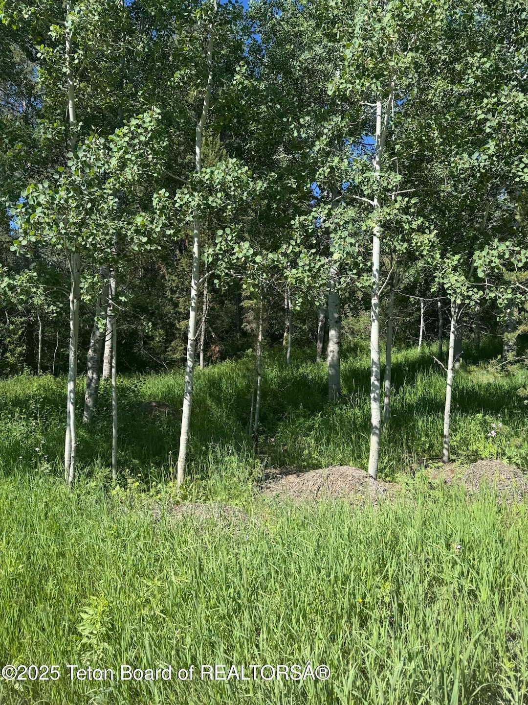 For Sale $195,000 • Co-Listing Agent