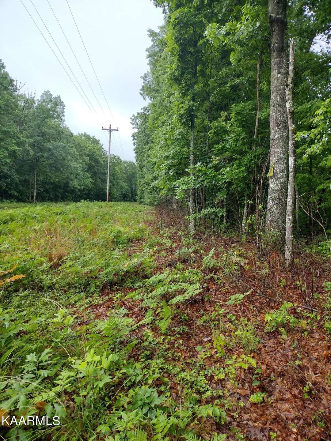 IMG_20220607_095314453_HDR